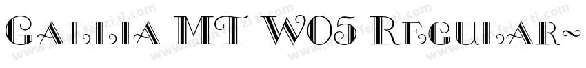 Gallia MT W05 Regular字体转换